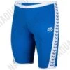 MEN'S ARENA ICONS SWIM JAMMER